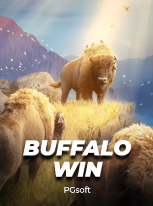 Buffalo Win